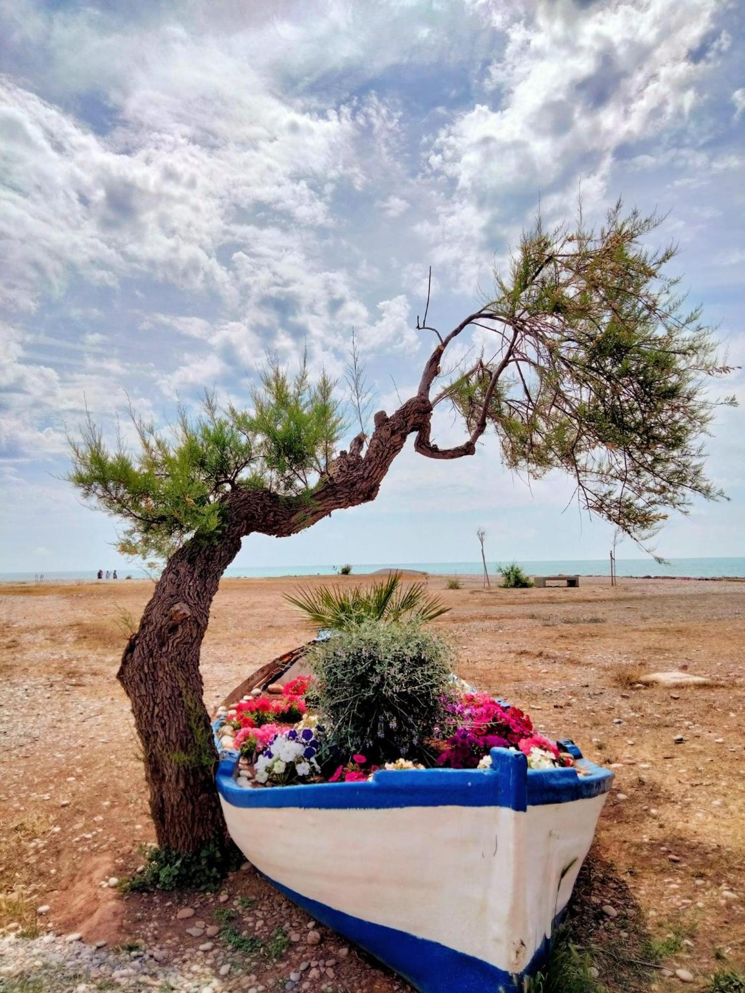 Moncófar Apartamento Moncofa מראה חיצוני תמונה